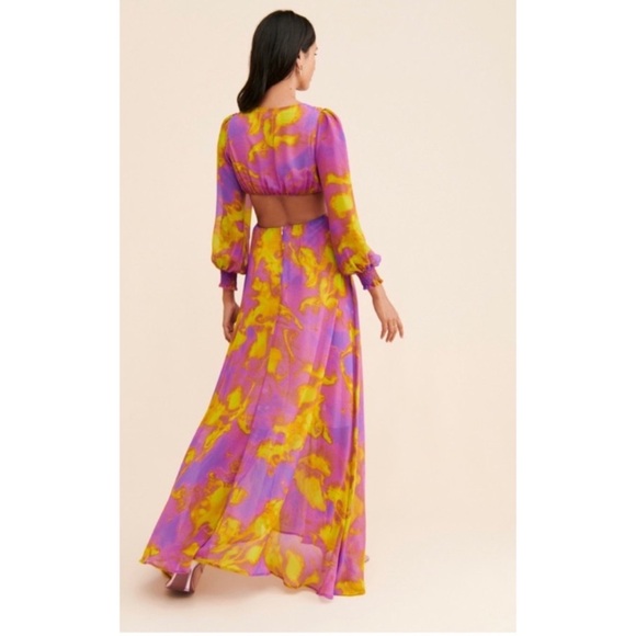 Delfi Selena Cut-Out Chiffon Maxi Dress Large - Picture 4 of 11